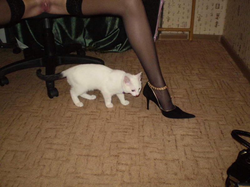 Русская жена в чулках светит киской и мастурбирует дилдо при муже 7 фото Русская жена в чулках светит киской и мастурбирует дилдо при муже 7 фото