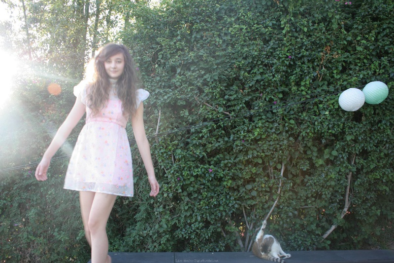 Голая спортивная девка позирует 14 фото Голая спортивная девка позирует 14 фото