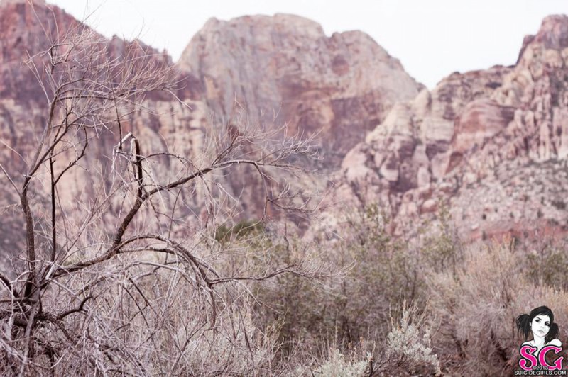 Татуированная крошка позирует в горах 6 фото Татуированная крошка позирует в горах 6 фото