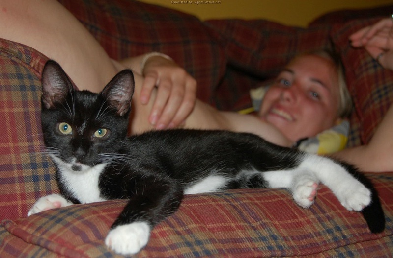 Голая невоспитанная сучка дает себя трогать 10 фото Голая невоспитанная сучка дает себя трогать 10 фото