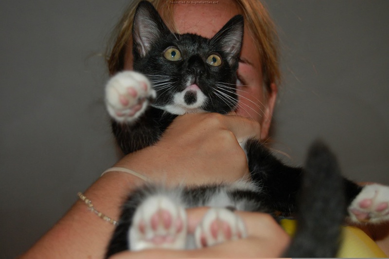 Голая невоспитанная сучка дает себя трогать 30 фото Голая невоспитанная сучка дает себя трогать 30 фото