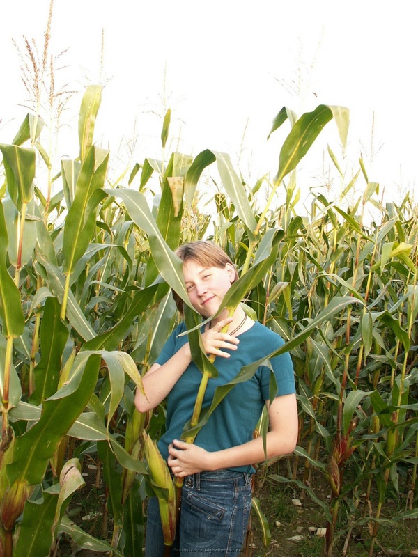 18летная девушка из деревни трахает киску кукурузой в поле 3 фото 18летная девушка из деревни трахает киску кукурузой в поле 3 фото